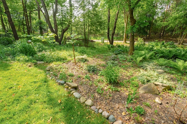 3745 Cedaridge Rd, Kalamazoo, MI 49008 - view of yard