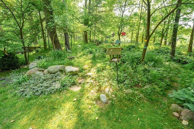 3745 Cedaridge Rd, Kalamazoo, MI 49008 - view of undeveloped land