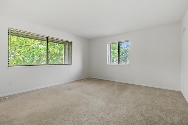 3745 Cedaridge Rd, Kalamazoo, MI 49008 - unfurnished room with plenty of natural light and carpet flooring