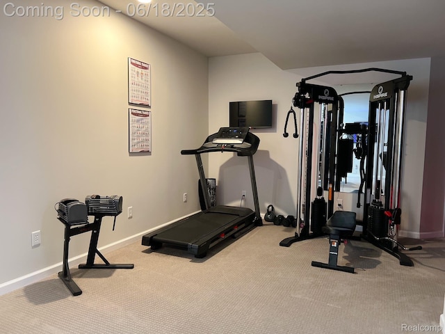 11236 Chyna Run, Davisburg, MI 48350 - workout room featuring carpet flooring and baseboards