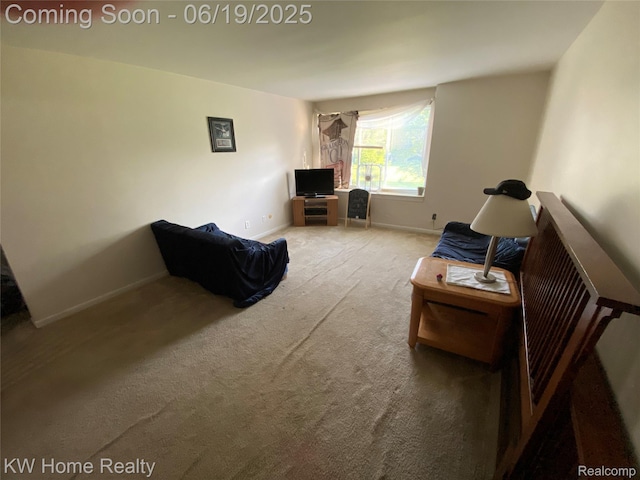 3901 Fort St Unit 204, Trenton, MI 48183 - living area featuring baseboards and carpet floors