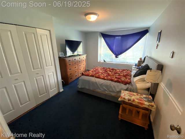 3901 Fort St Unit 204, Trenton, MI 48183 - bedroom featuring a closet and dark carpet