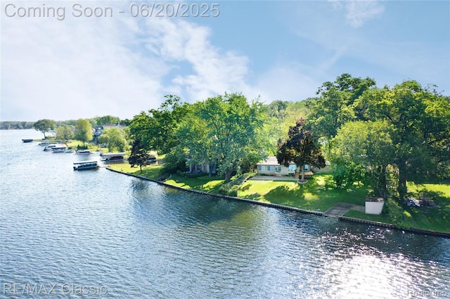 1861 Ladd Rd, Wolverine Lake, MI 48390 - water view