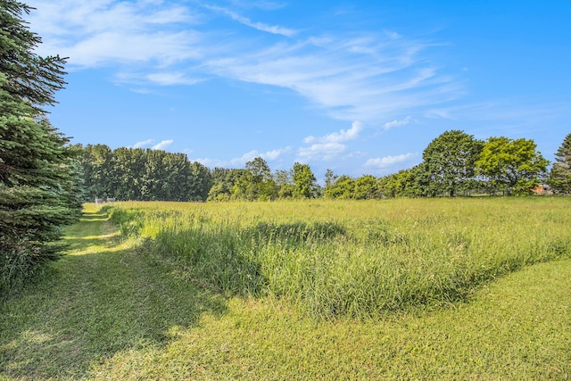 3833 S Baldwin Ave, Fremont, MI 49412 - view of undeveloped land