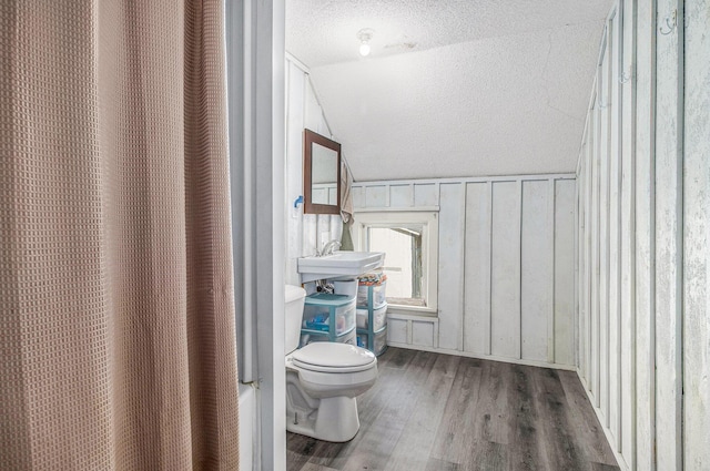 3833 S Baldwin Ave, Fremont, MI 49412 - full bathroom featuring lofted ceiling, a textured ceiling, wood finished floors, and a shower with shower curtain