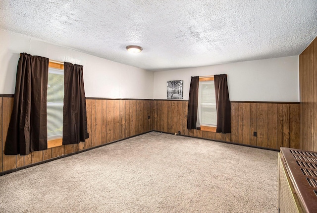 630 State St, Fremont, MI 49412 - empty room with wooden walls, a wainscoted wall, a textured ceiling, and carpet flooring