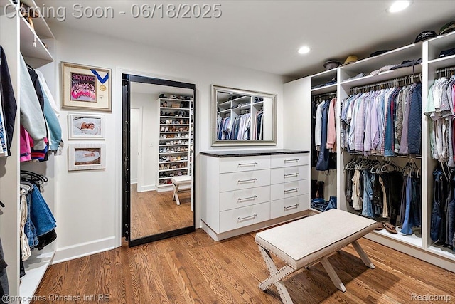 586 Fairfax St, Birmingham, MI 48009 - walk in closet with light wood-style flooring