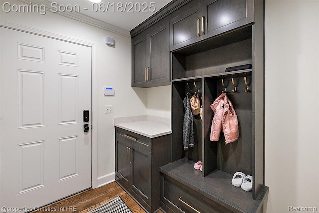 586 Fairfax St, Birmingham, MI 48009 - mudroom featuring ornamental molding and dark wood finished floors