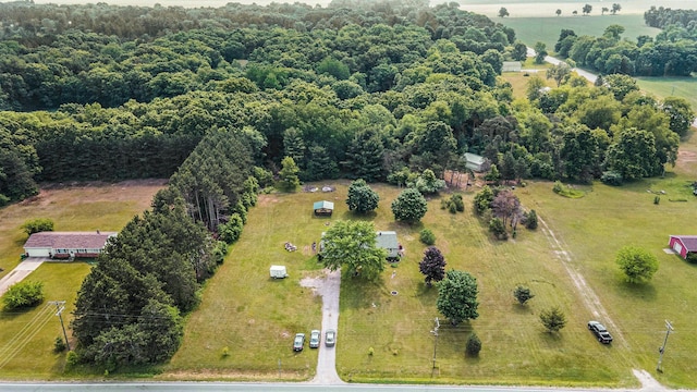 1602 Mccann Rd, Hastings, MI 49058 - aerial overview of property's location featuring rural landscape