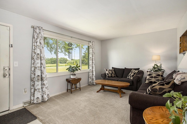 1602 Mccann Rd, Hastings, MI 49058 - carpeted living area featuring baseboards