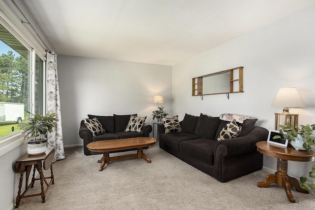 1602 Mccann Rd, Hastings, MI 49058 - carpeted living room with baseboards