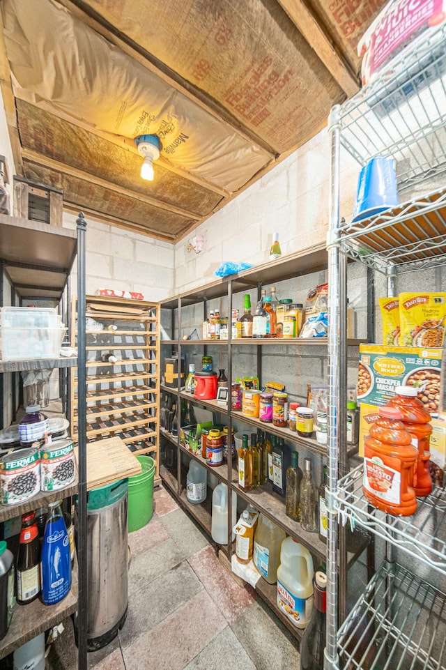 7385 Macomber Ct, Ann Arbor, MI 48103 - view of storage