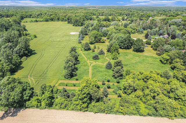 7385 Macomber Ct, Ann Arbor, MI 48103 - drone / aerial view of a forest