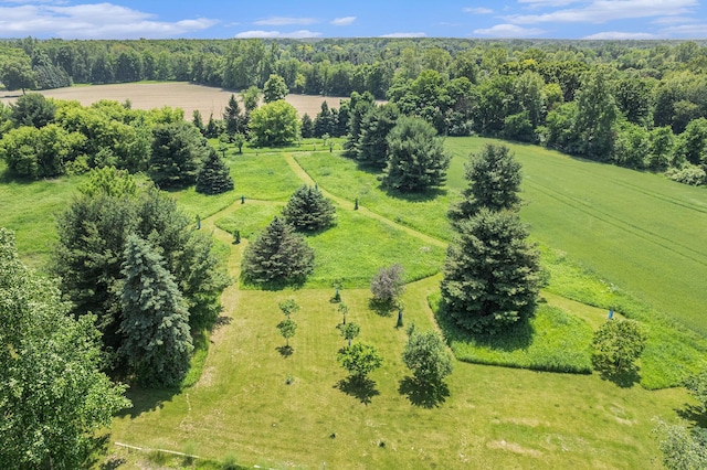 7385 Macomber Ct, Ann Arbor, MI 48103 - overview of rural landscape