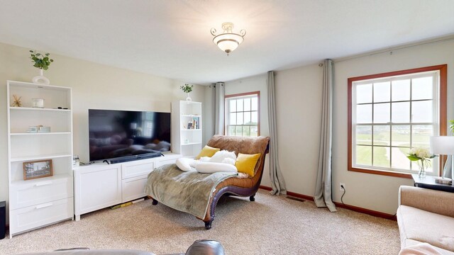 4606 E Jordan Rd, Mount Pleasant, MI 48858