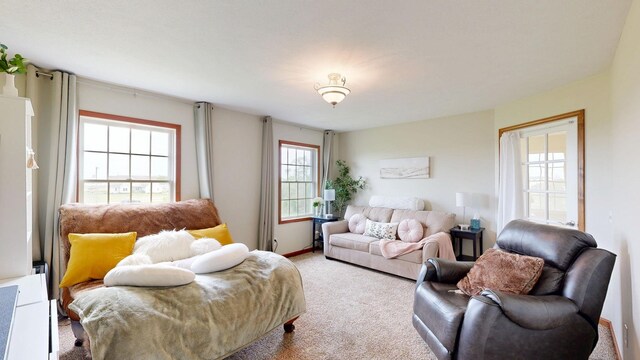 4606 E Jordan Rd, Mount Pleasant, MI 48858