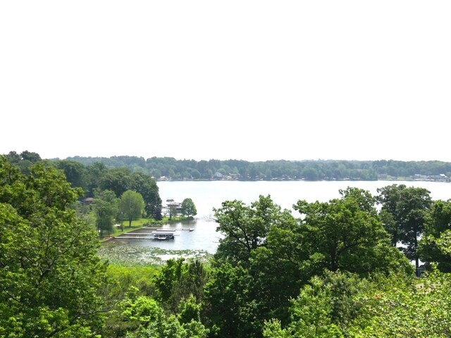4253 Indian Isle, Battle Creek, MI 49017 - photo 16