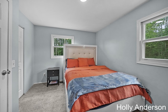 37137 30th St, Paw Paw, MI 49079 - bedroom with carpet and baseboards