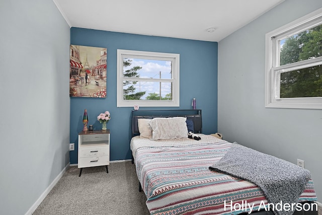 37137 30th St, Paw Paw, MI 49079 - carpeted bedroom featuring multiple windows