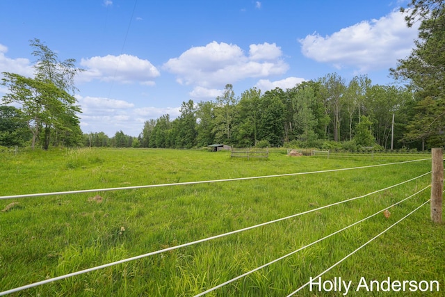 37137 30th St, Paw Paw, MI 49079 - view of yard featuring a rural view and a wooded view