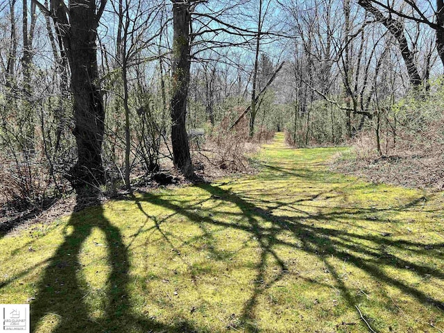 7379 N Irish Rd, Otisville, MI 48463 - view of grassy yard featuring a view of trees