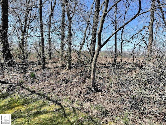 7379 N Irish Rd, Otisville, MI 48463 - view of nature