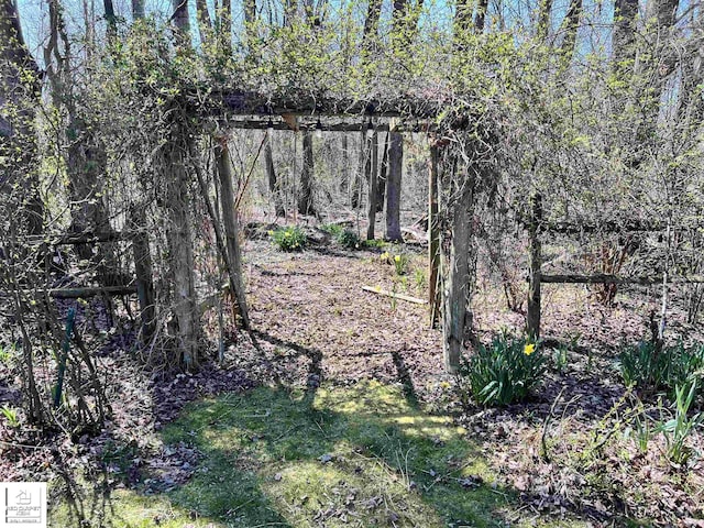 7379 N Irish Rd, Otisville, MI 48463 - view of local wilderness