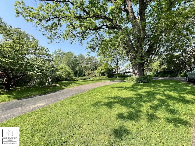 7379 N Irish Rd, Otisville, MI 48463 - view of road