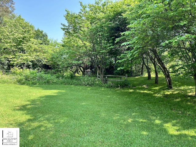 7379 N Irish Rd, Otisville, MI 48463 - view of grassy yard