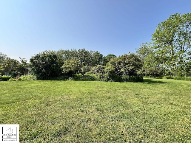 7379 N Irish Rd, Otisville, MI 48463 - view of grassy yard