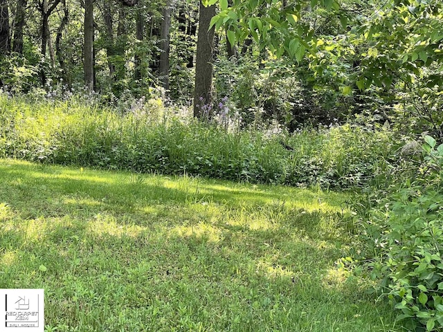 7379 N Irish Rd, Otisville, MI 48463 - view of yard
