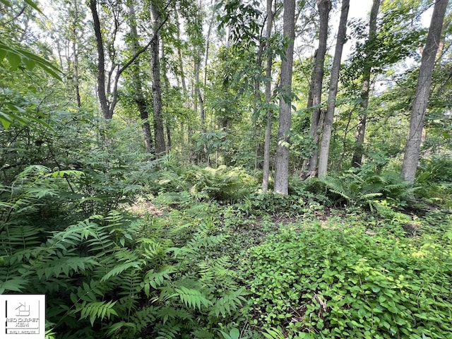 7379 N Irish Rd, Otisville, MI 48463 - view of nature