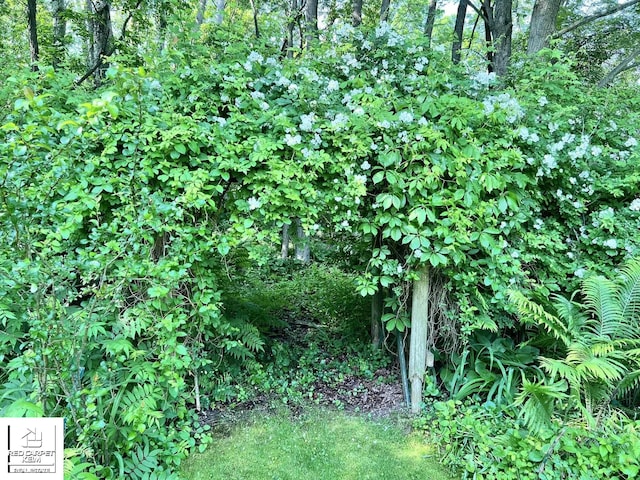 7379 N Irish Rd, Otisville, MI 48463 - view of nature