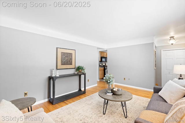 15615 S Midway Ave, Allen Park, MI 48101 - living room featuring light wood-style floors and baseboards
