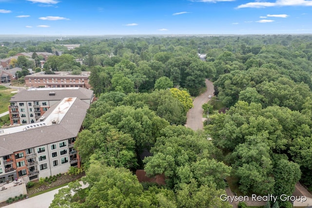 431 Homecrest Ave, Kalamazoo, MI 49001 - bird's eye view of a forest