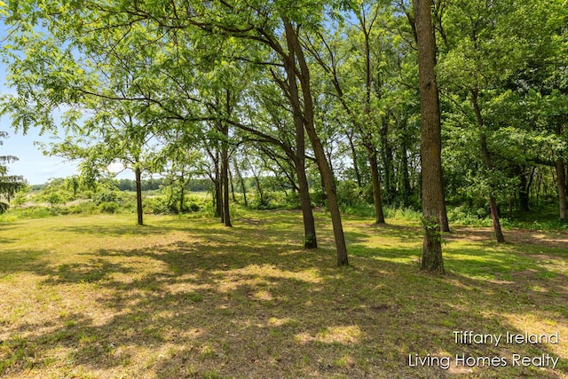 11737 W Carson City Rd, Greenville, MI 48838 - view of nature