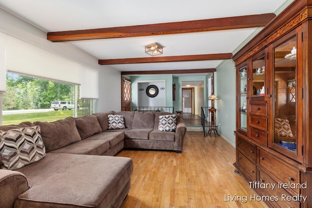 11737 W Carson City Rd, Greenville, MI 48838 - living area featuring beam ceiling and light wood-style floors