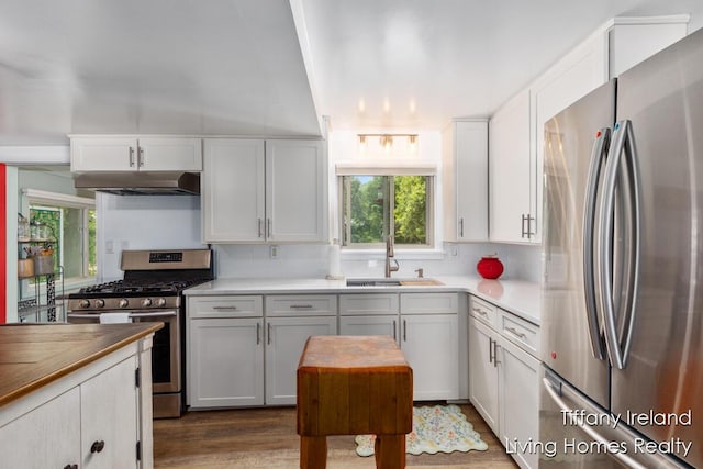 11737 W Carson City Rd, Greenville, MI 48838 - kitchen with appliances with stainless steel finishes, under cabinet range hood, plenty of natural light, and white cabinetry