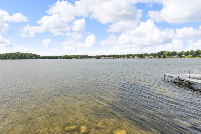 11786 E Sauk Trl, Jerome, MI 49249 - water view featuring a dock