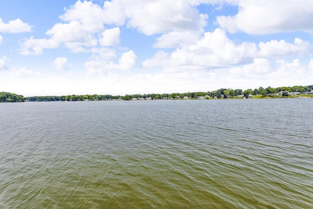 11786 E Sauk Trl, Jerome, MI 49249 - water view