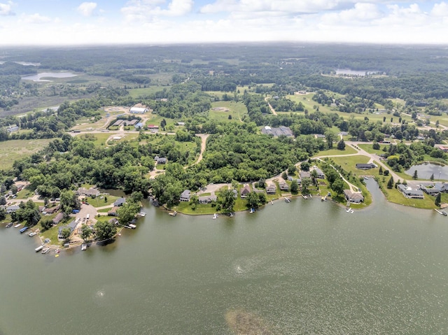 11786 E Sauk Trl, Jerome, MI 49249 - aerial view of a large body of water