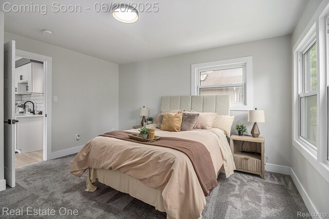 927 N Lafayette Ave, Royal Oak, MI 48067 - photo 15