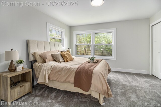 927 N Lafayette Ave, Royal Oak, MI 48067 - photo 14