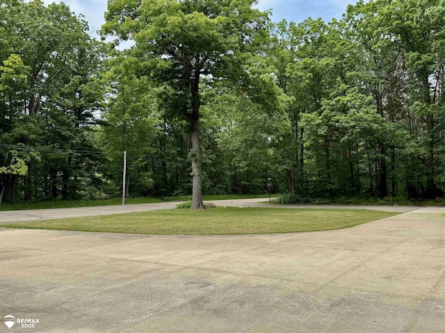 449 Noric Dr, Roscommon, MI 48653 - surrounding community featuring a lawn