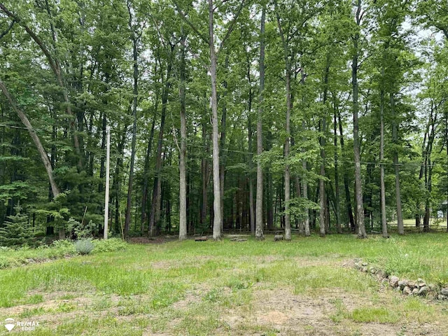 449 Noric Dr, Roscommon, MI 48653 - view of woods