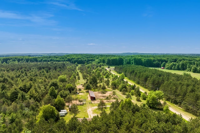 493 NE County Road 571, Kalkaska, MI 49646