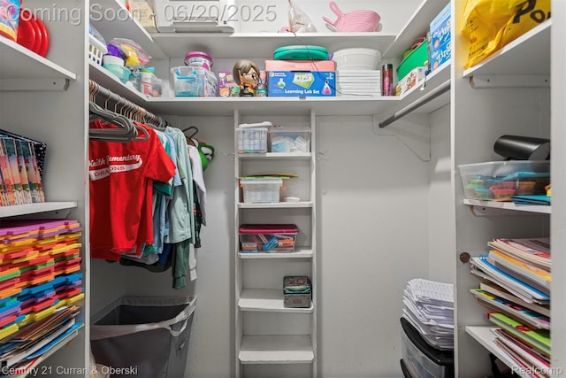 2138 Metzner Rd, Commerce Twp, MI 48390 - view of spacious closet