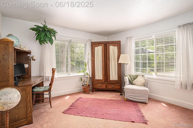 44988 52nd St, Lawrence, MI 49064 - home office featuring carpet flooring and plenty of natural light