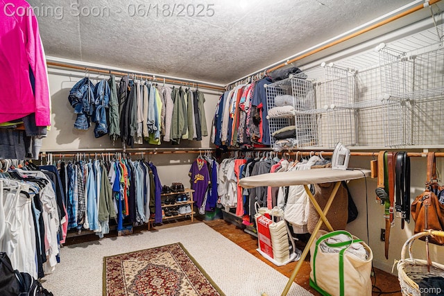 44988 52nd St, Lawrence, MI 49064 - view of spacious closet