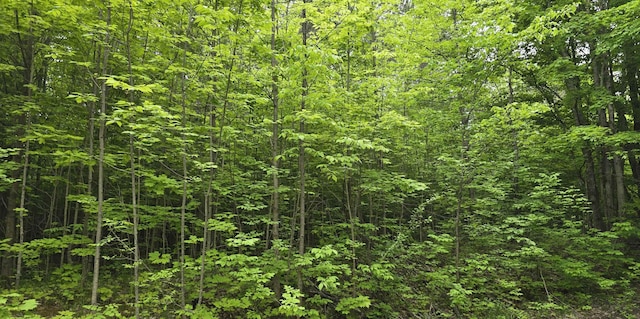 LOT1 Hagni Rd, Kalkaska, MI 49646 - photo 4